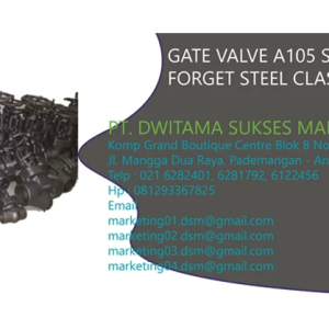 Gate Valve Threaded A 105