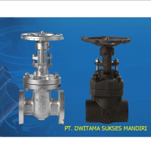 Gate Valve A 216 WCB