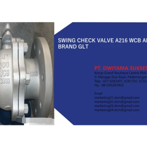 Swing Check Valve A216 WCB