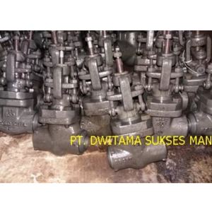 Globe Valve A105 Class 1500 Threaded