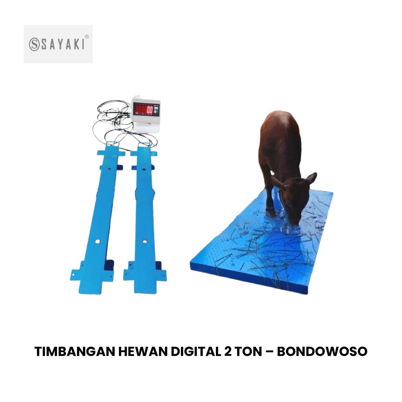TIMBANGAN HEWAN DIGITAL 2 TON – BONDOWOSO