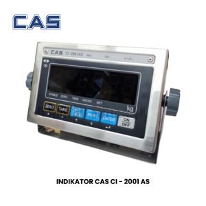 INDIKATOR CAS – CI – 2001 AS