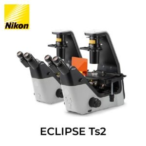 ECLIPSE Ts2