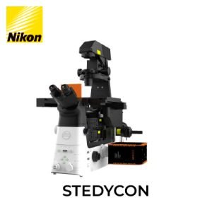 STEDYCON