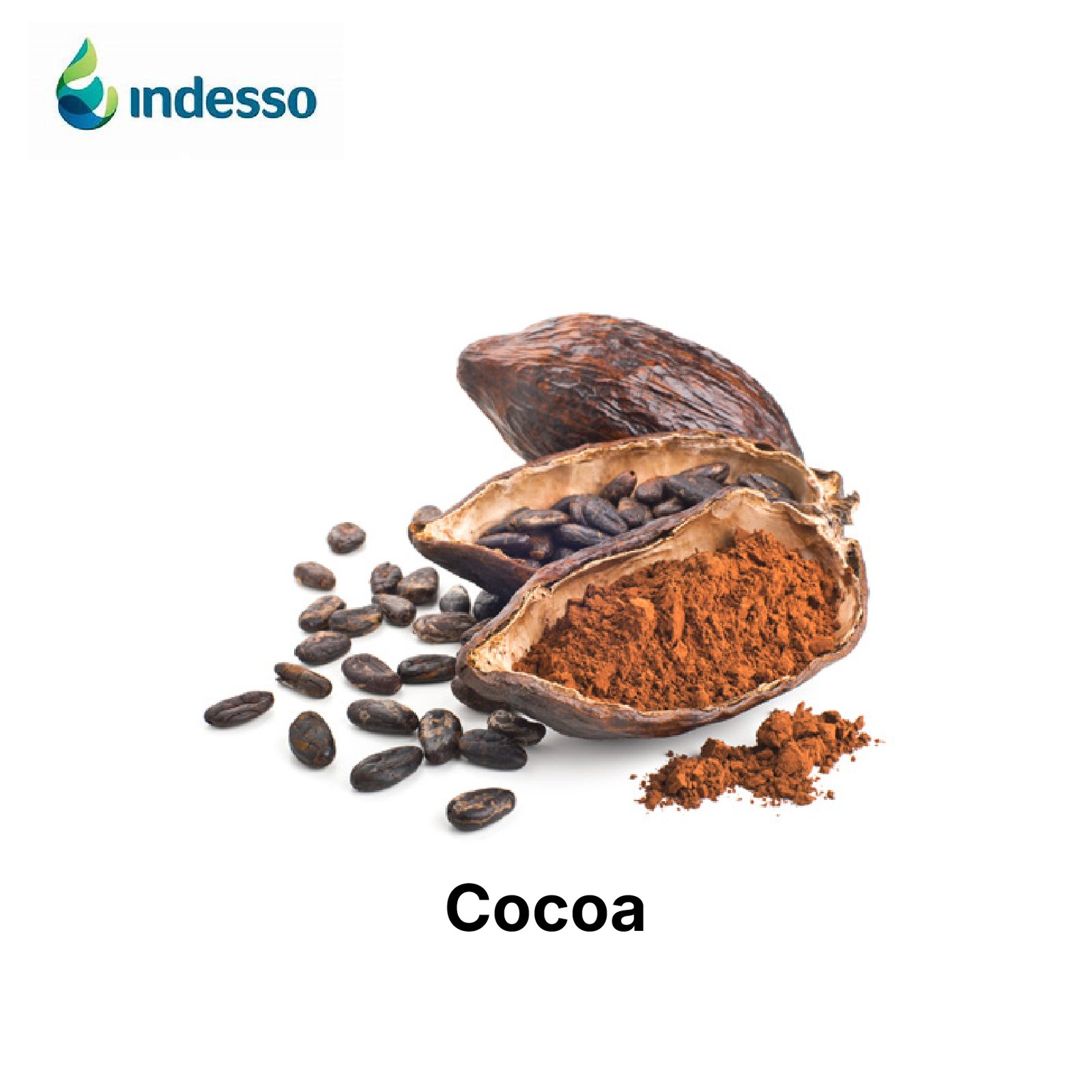 extracts Botanical Cocoa