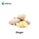 essential oil Ginger