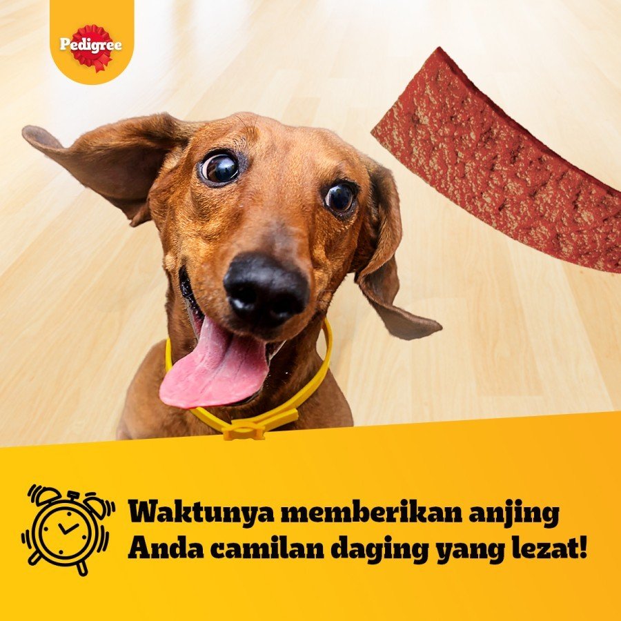 pedigree schmackos 70 gr - makanan anjing pedigree Schmackos strap smoky beef 70 gr