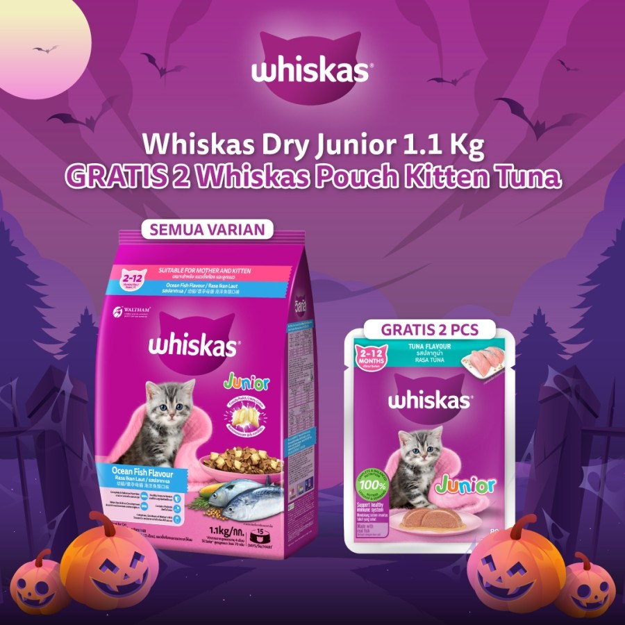 Makanan Bayi Kucing Whiskas Junior ocean fish 1,1kg
