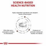 Royal Canin Vet Gastro Instetinal Dog 2 Kg - FRESHPACK 2 KG