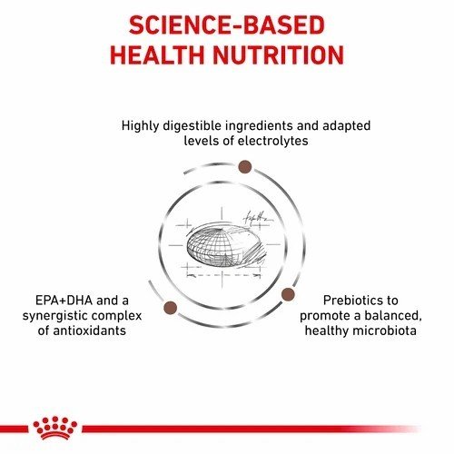 皇家罐头兽医胃胃nint狗2公斤 - 新鲜袋2公斤 皇家罐头兽医胃胃nint狗2公斤 - 新鲜袋2公斤