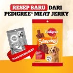 pedigree schmackos 70 gr - makanan anjing pedigree Schmackos strap smoky beef 70 gr