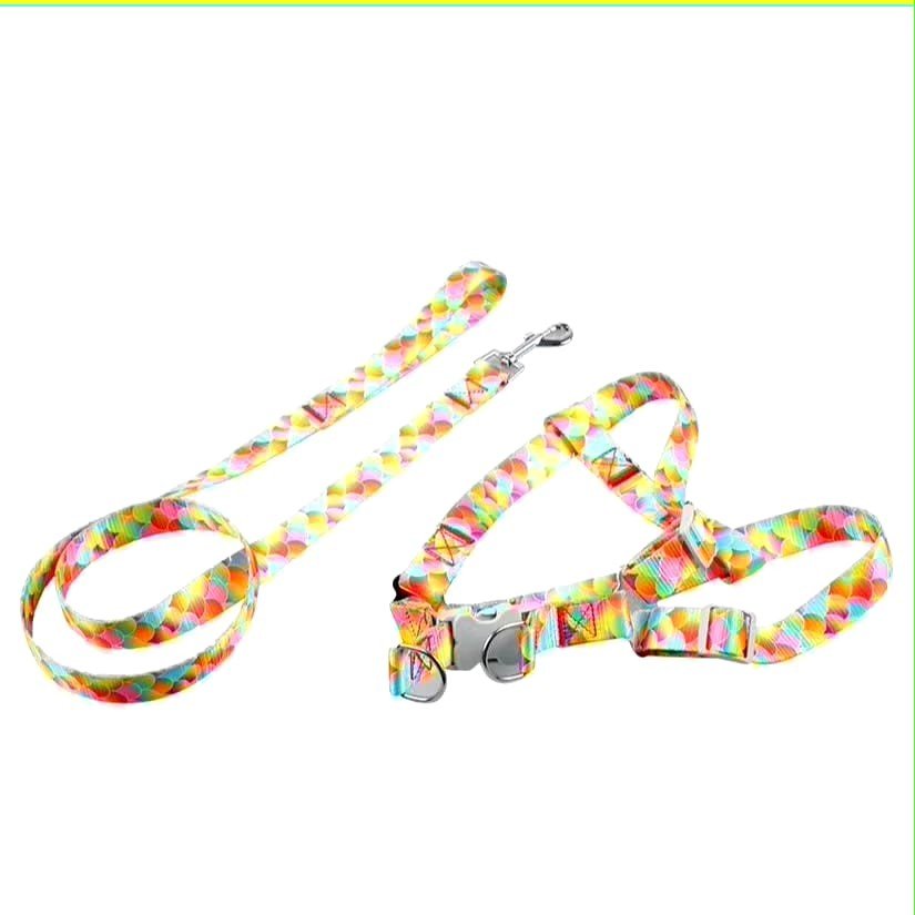 皮带线束猫狗图案LS62 -LS狗LS#62 皮带线束猫狗图案LS62 -LS狗LS#62