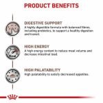 Royal Canin Vet Gastro Instetinal Dog 2 Kg - FRESHPACK 2 KG