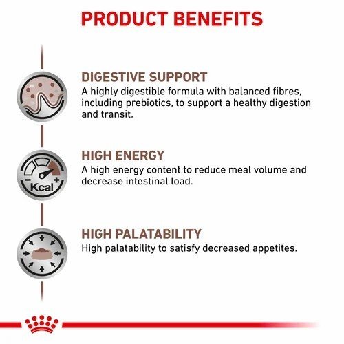 皇家罐头兽医胃胃nint狗2公斤 - 新鲜袋2公斤 皇家罐头兽医胃胃nint狗2公斤 - 新鲜袋2公斤