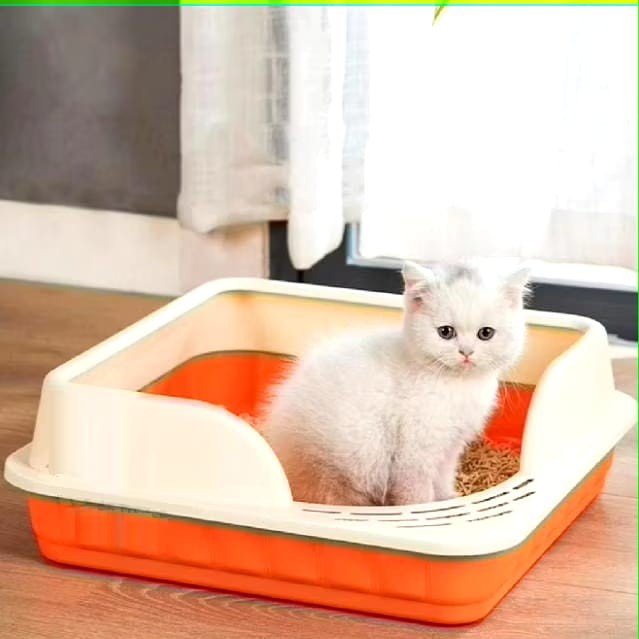 油漆垃圾箱角落67-猫沙巴布 油漆垃圾箱角落67-猫沙巴布