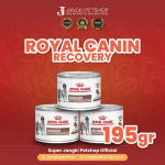 Royal Canin recovery 195 gr