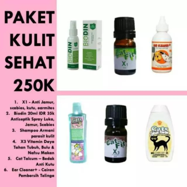 健康可爱的皮肤包裹在猫外 - 狗