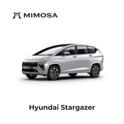 Hyundai Stargazer