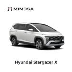 Hyundai Stargazer X