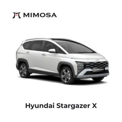 Hyundai Stargazer X