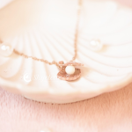 Breastmilk Jewelry Box Kit | Pearl Shell Pendant | Breastmilk Jewelry Pendant | Perhiasan ASI | Liontin ASI