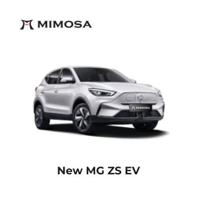 New MG ZS EV