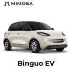 Binguo EV