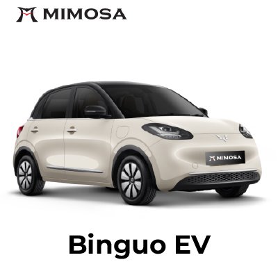 Binguo EV
