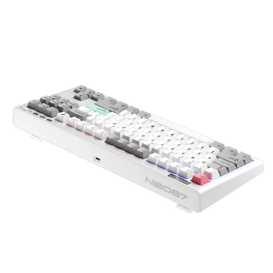 1STPLAYER NEO87 Frostwave Gaming Mechanical Keyboard 88 Keys Layout - Gasket Structure - RGB Backligting