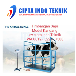 Timbangan Ternak Model Kerangkeng – Auto Hold