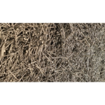 Paku Seri 5cm 7cm 10cm / Paku Kayu - Raja Paku 30kg - 1