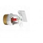 Importir Victaulic Indonesia