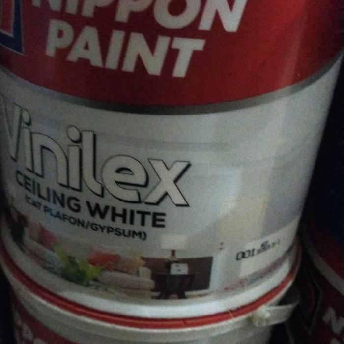 vinilex ceiling white 5kg