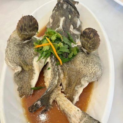 Kerapu Masak (700-800) Gram