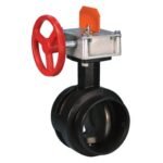 BUTTERFLY VICTAULIC 765