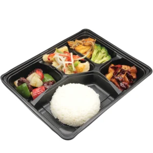 Paket Nasi Box (isi 2 box)