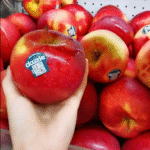 Buah Apel Dazzle New Zealand Premium Garing Manis Fresh - Dazlle-prem