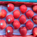 Buah Apel Dazzle New Zealand Premium Garing Manis Fresh - Dazlle-prem