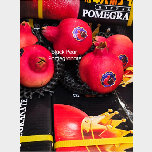 Buah Delima Merah India Spanyol Amerika China Biji Empuk Dus