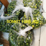 Buah Jeruk Sonkit Cui Lemon Kitna Ponti Kalimantan