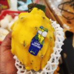 Buah Naga Kuning Yellow Columbia Equador Indonesia Lokal Import Manis - Kg