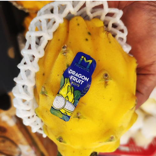 Buah Naga Kuning Yellow Columbia Equador Indonesia Lokal Import Manis - Kg