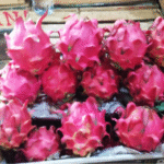 Buah Naga Merah Lokal Organik / Ons