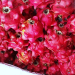 Buah Naga Merah Lokal Organik / Ons