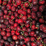 Cherrt Tzm Tazmania Dark Cherry Manis Per Pax