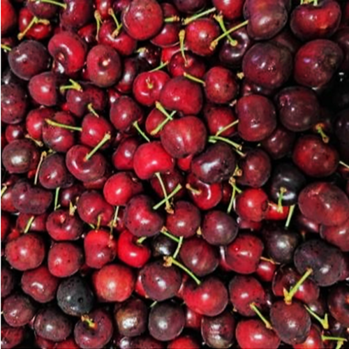 Cherrt Tzm Tazmania Dark Cherry Manis Per Pax