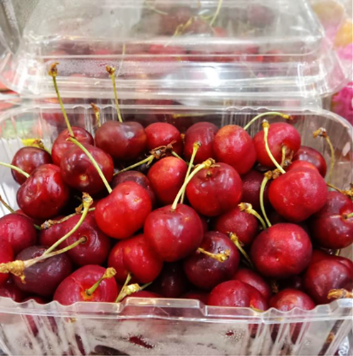 Cherrt Tzm Tazmania Dark Cherry Manis Per Pax