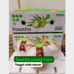 Cocothumb Kelapa Thailand Jelly Pop Drink Coco Bucket Pandan Fasacha Cocopride Box/dus - Cocothumb