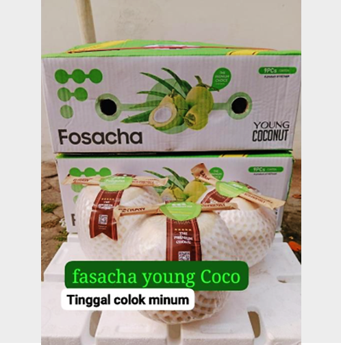 Cocothumb Kelapa Thailand Jelly Pop Drink Coco Bucket Pandan Fasacha Cocopride Box/dus - Cocothumb
