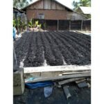 Briket Tempurung Kelapa